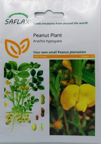 Peanut Plant Seeds